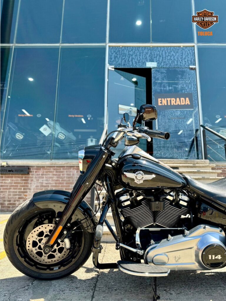 2019 Fat Boy S 3