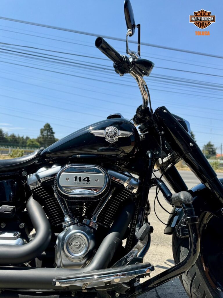 2019 Fat Boy S 9