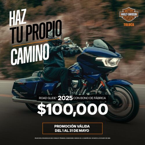 Road Glide 25